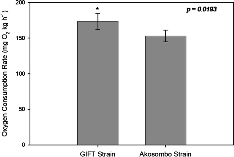 Acute hyperthermia and hypoxia tolerance of two improved strains of nile tilapia (Oreochromis niloticus).