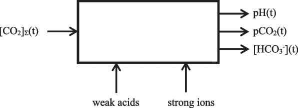 A white-box model for real-time simulation of acid-base balance in blood plasma.