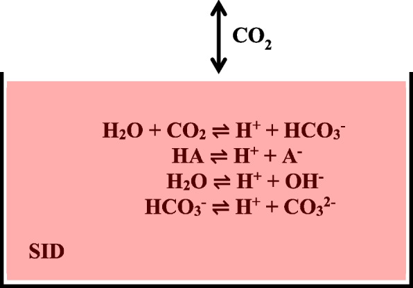 A white-box model for real-time simulation of acid-base balance in blood plasma.