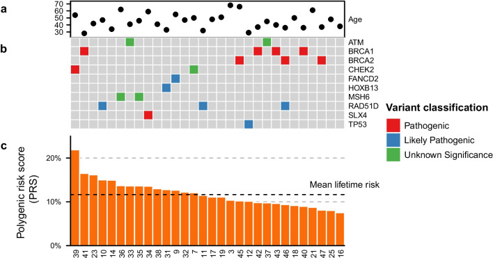 Non-BRCA1/BRCA2 high-risk familial breast cancers are not associated with a high prevalence of BRCAness.