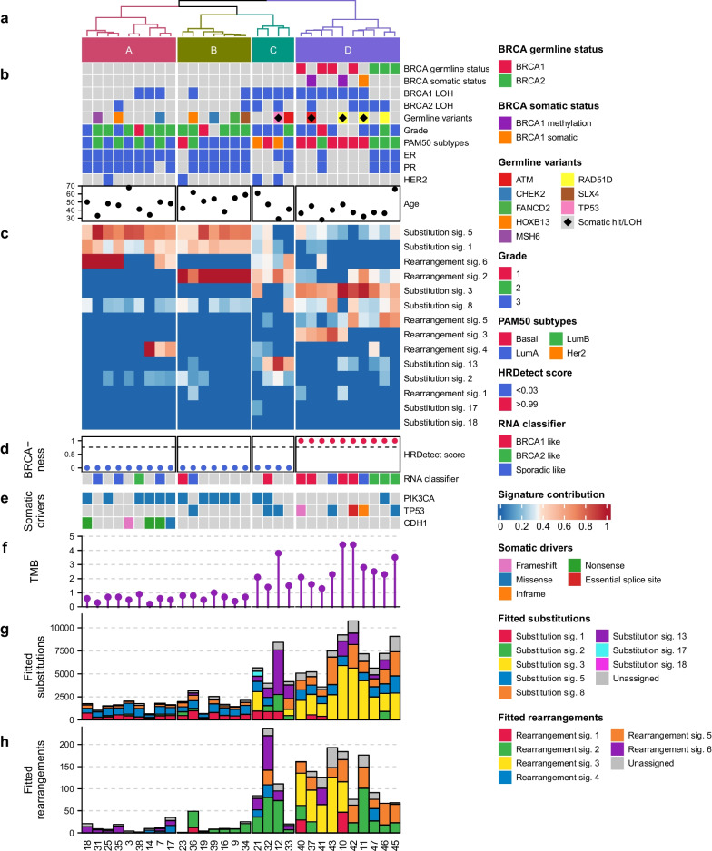 Non-BRCA1/BRCA2 high-risk familial breast cancers are not associated with a high prevalence of BRCAness.