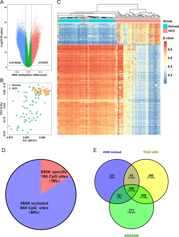 HepaClear, a blood-based panel combining novel methylated CpG sites and protein markers, for the detection of early-stage hepatocellular carcinoma.