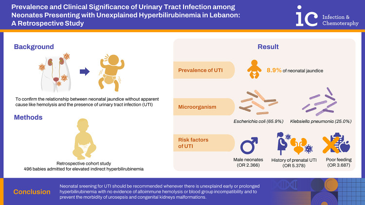 Prevalence and Clinical Significance of Urinary Tract Infection among Neonates Presenting with Unexplained Hyperbilirubinemia in Lebanon: A Retrospective Study.