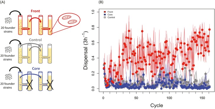 Predicting evolution in experimental range expansions of an aquatic model system.