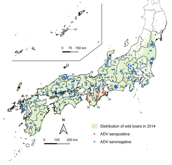 Sex-based differences in the distribution of Aujeszky's disease-seropositive Japanese wild boar.