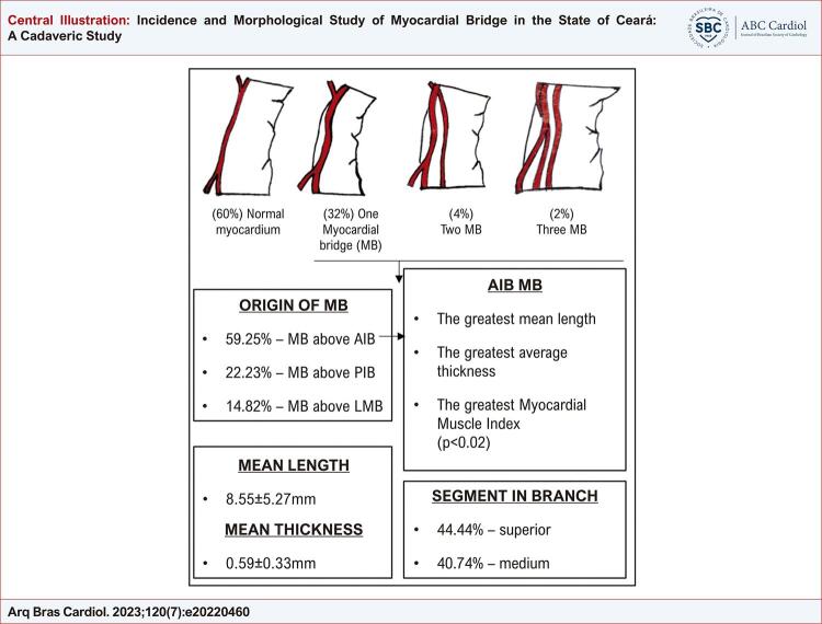 Incidence and Morphological Study of Myocardial Bridge in the State of Ceará: A Cadaveric Study.