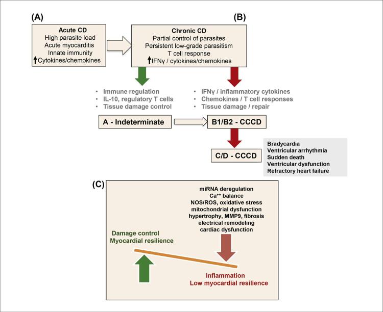 SBC Guideline on the Diagnosis and Treatment of Patients with Cardiomyopathy of Chagas Disease - 2023.