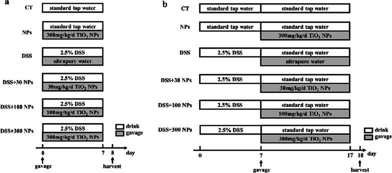 Oral intake of titanium dioxide nanoparticles affect the course and prognosis of ulcerative colitis in mice: involvement of the ROS-TXNIP-NLRP3 inflammasome pathway.