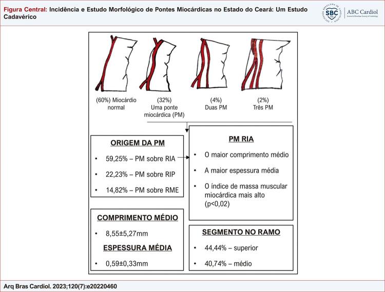 Incidence and Morphological Study of Myocardial Bridge in the State of Ceará: A Cadaveric Study.