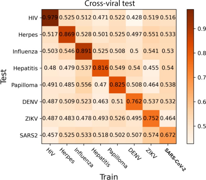 Emvirus: An embedding-based neural framework for human-virus protein-protein interactions prediction