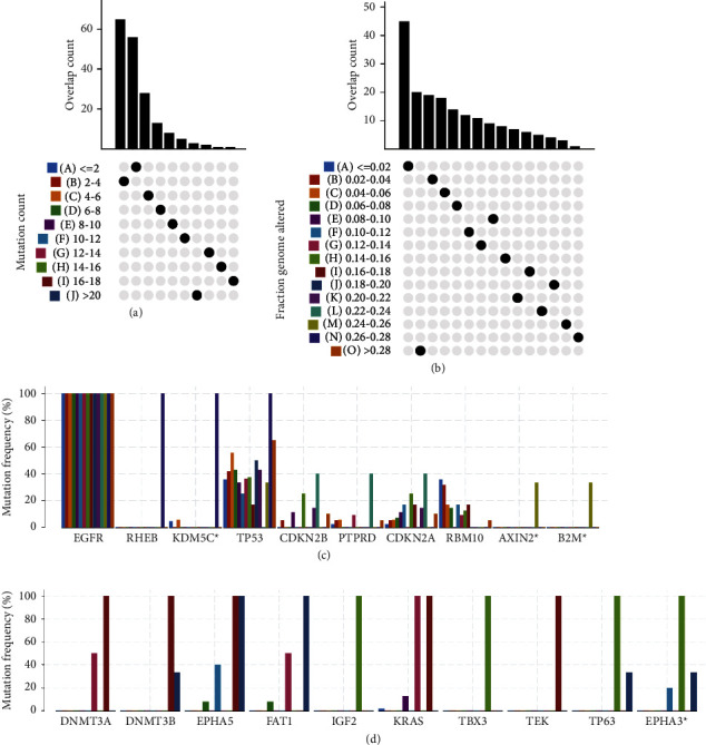 YAP1 as a Novel Negative Biomarker of Immune Checkpoint Inhibitors for EGFR-Mutant Non-Small-Cell Lung Cancer.