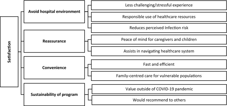 Qualitative analysis of values and motivation reported by families utilizing a paediatric virtual care emergency clinic launched during the SARS-CoV-2 pandemic.