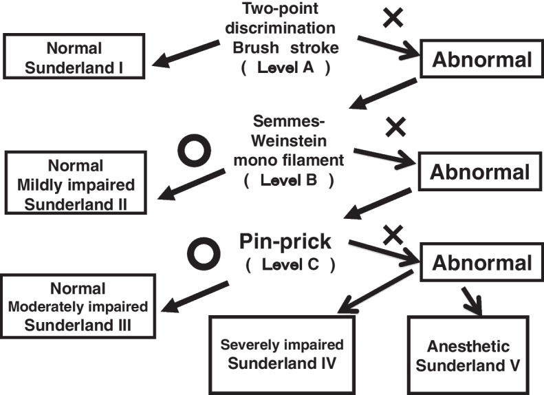 Application of Tinel's test combed with clinical neurosensory test distinguishes spontaneous healing of lingual nerve neuropathy after mandibular third molar extraction.