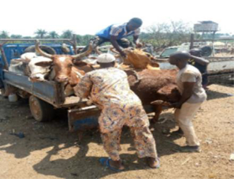 A STUDY OF SKIN SEPSIS AMONGST ABATTOIR WORKERS IN MONIYA, IBADAN, OYO STATE, NIGERIA.