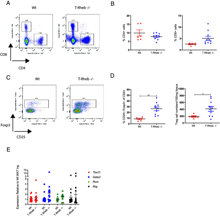 Serendipitous Discovery of T Cell-Produced KLK1b22 as a Regulator of Systemic Metabolism.