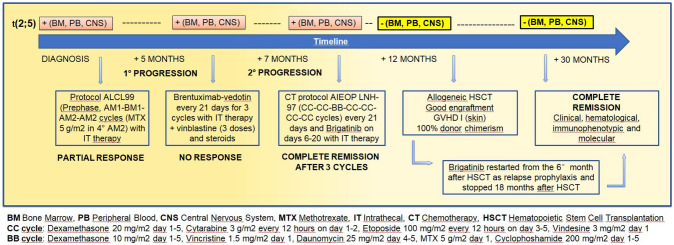 Refractory Anaplastic Large Cell Lymphoma Rescued by the Combination of the Second-Generation ALK Inhibitor Brigatinib, High-dose Chemotherapy and Allogeneic Stem Cell Transplantation: A Case Report and Review of the Literature.