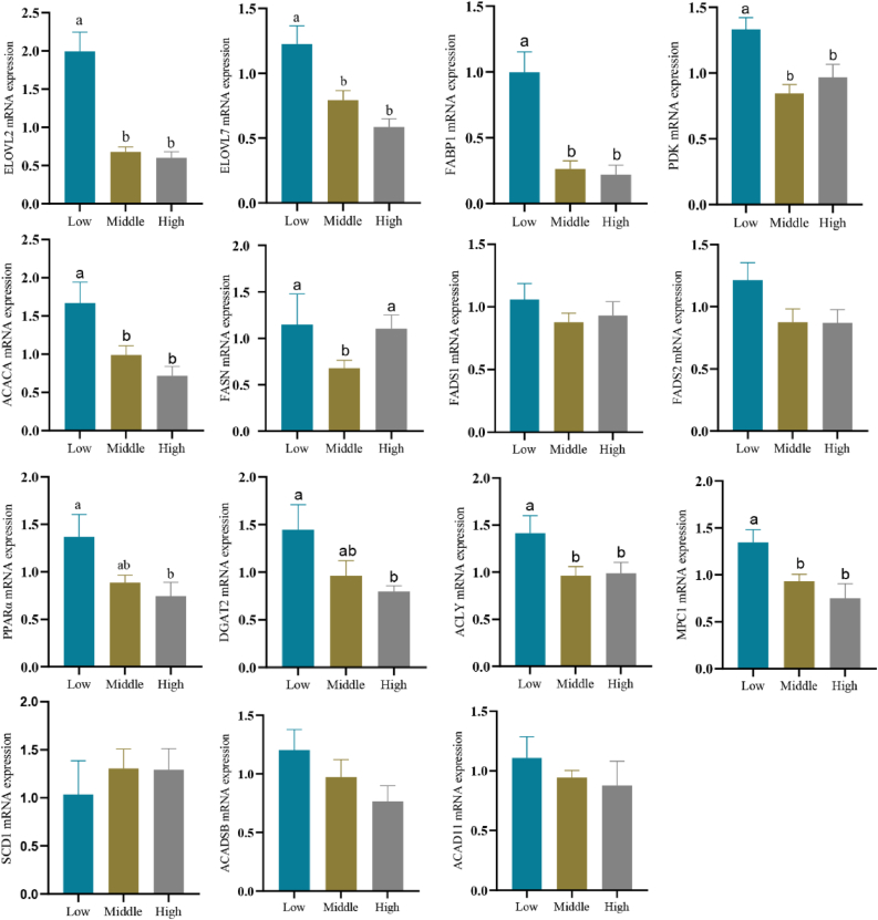 Proteomic and phosphoproteomic analysis reveal threonine deficiency increases hepatic lipid deposition in Pekin ducks via reducing STAT phosphorylation