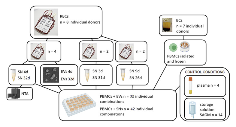 Immunomodulatory Properties of Packed Red Blood Cells during Storage.