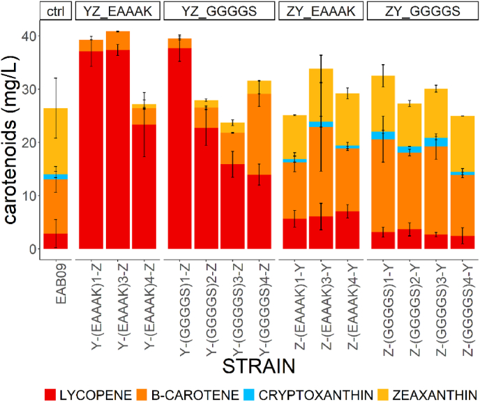 Exploring linker's sequence diversity to fuse carotene cyclase and hydroxylase for zeaxanthin biosynthesis