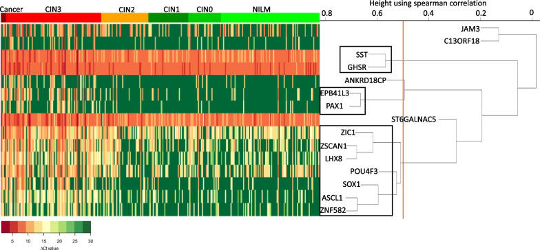 Identification of a methylation panel as an alternative triage to detect CIN3+ in hrHPV-positive self-samples from the population-based cervical cancer screening programme.