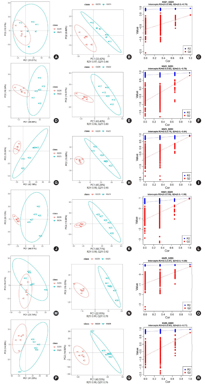 Time-Dependent Changes in the Bladder Muscle Metabolome After Traumatic Spinal Cord Injury in Rats Using Metabolomics.