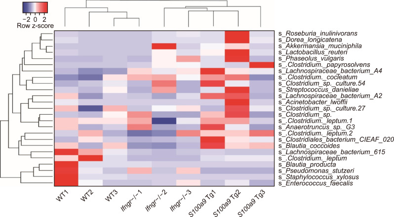 Overexpression of S100A9 in donor T cells is associated with reconstitution of gut microbiota and outcome of allogeneic hematopoietic stem cell transplantation.