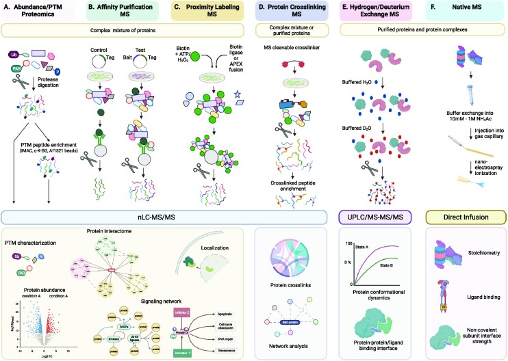 Current proteomics methods applicable to dissecting the DNA damage response.