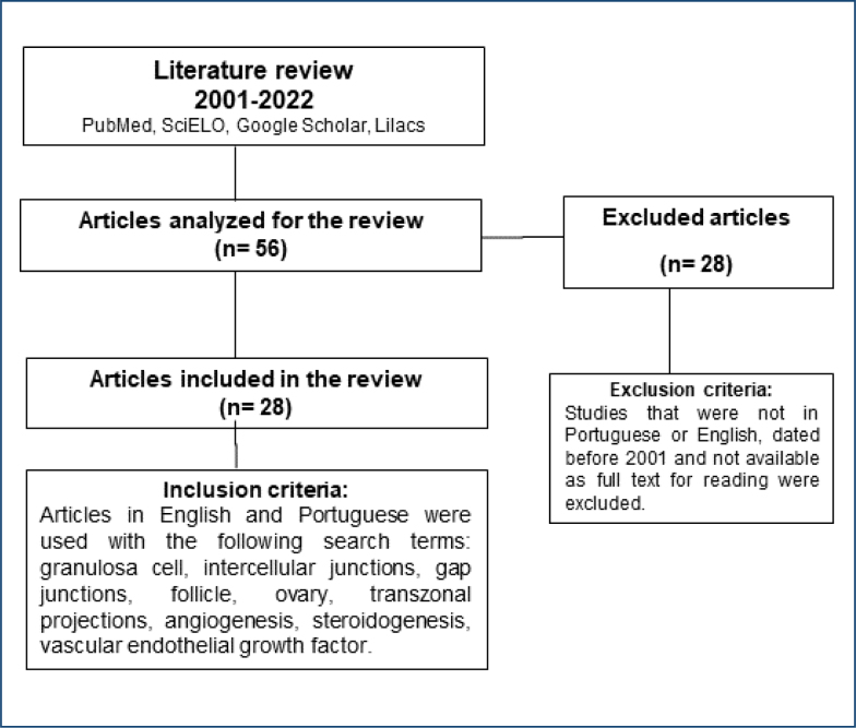 Granulosa cells and follicular development: a brief review.