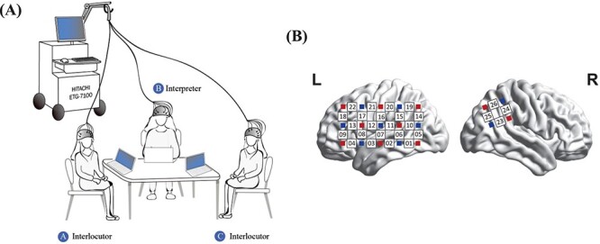 The effect of speech-gesture asynchrony on the neural coupling of interlocutors in interpreter-mediated communication.