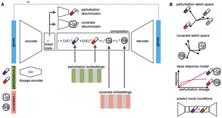 Predicting cellular responses to complex perturbations in high-throughput screens.