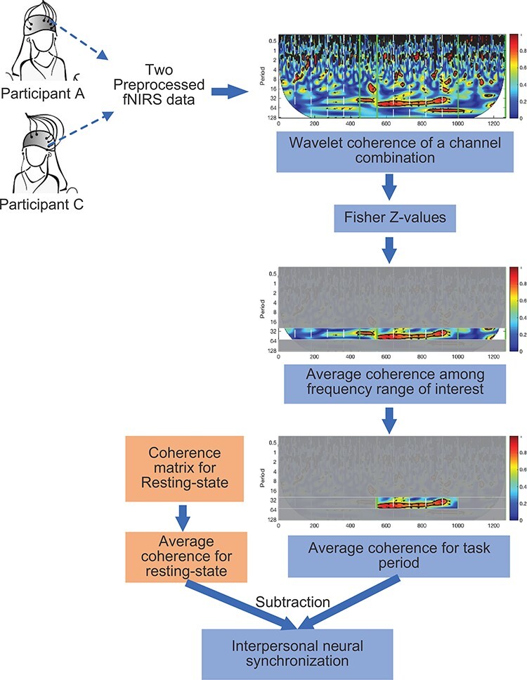 The effect of speech-gesture asynchrony on the neural coupling of interlocutors in interpreter-mediated communication.