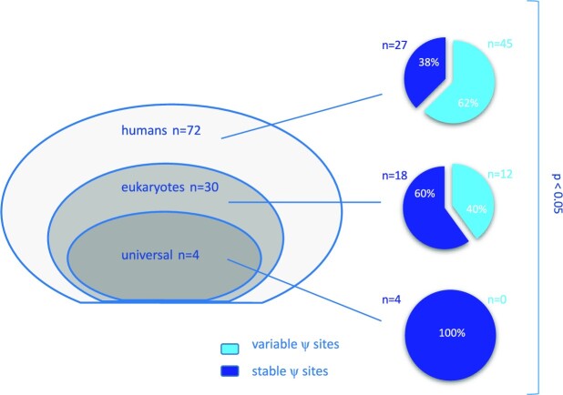 Alterations of ribosomal RNA pseudouridylation in human breast cancer.