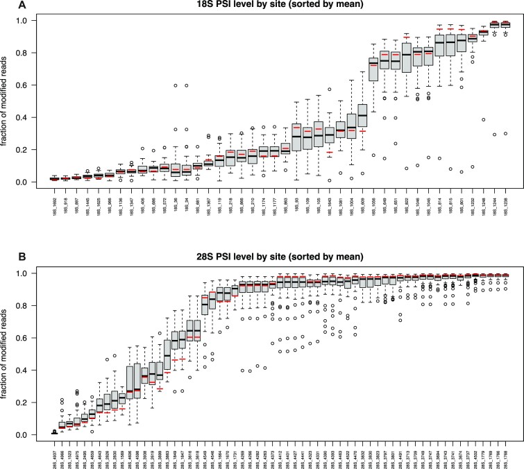 Alterations of ribosomal RNA pseudouridylation in human breast cancer.