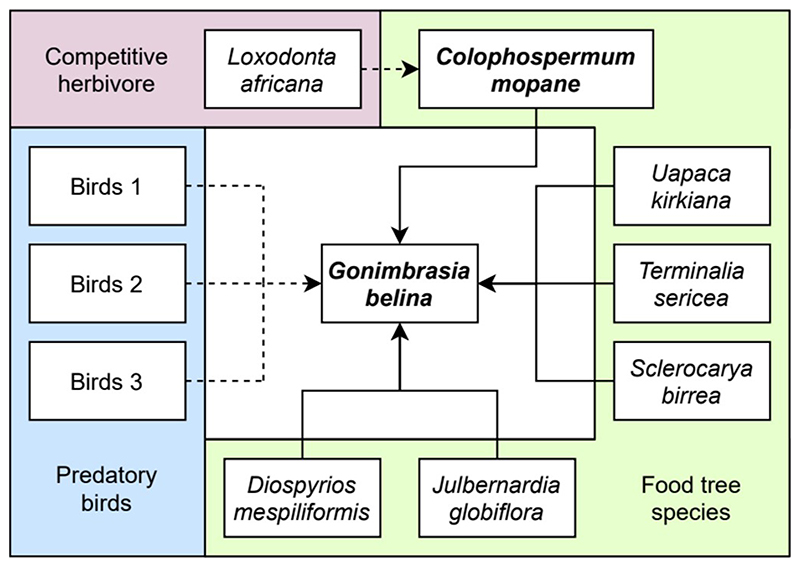 Potential decline in the distribution and food provisioning services of the mopane worm <i>(Gonimbrasia belina)</i> in southern Africa.