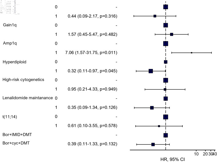 Amplification of Chromosome 1q Predicts Poor Overall Survival in Newly Diagnosed Multiple Myeloma Patients.