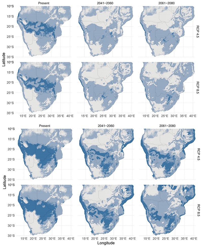 Potential decline in the distribution and food provisioning services of the mopane worm <i>(Gonimbrasia belina)</i> in southern Africa.