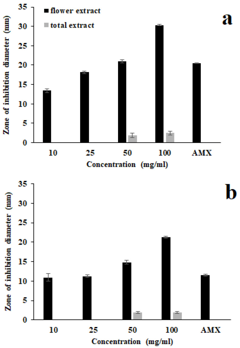 Antibacterial and Anti-Glucosyltransferase Activity of <i>Verbascum speciosum</i> Against Cariogenic Streptococci.