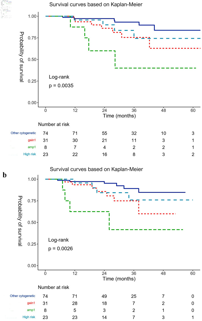 Amplification of Chromosome 1q Predicts Poor Overall Survival in Newly Diagnosed Multiple Myeloma Patients.