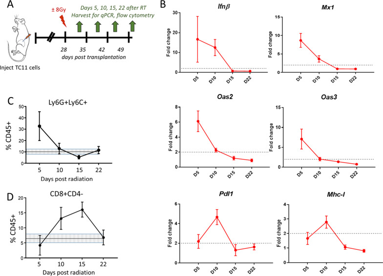 Estrogen receptor blockade and radiation therapy cooperate to enhance the response of immunologically cold ER+ breast cancer to immunotherapy.