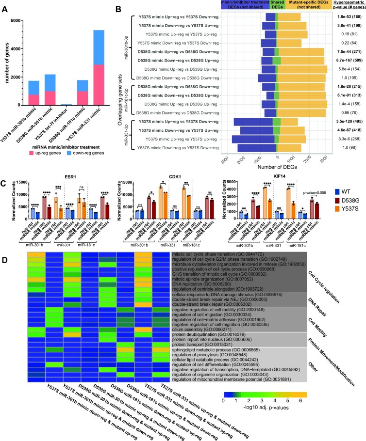 Estrogen receptor alpha mutations regulate gene expression and cell growth in breast cancer through microRNAs.