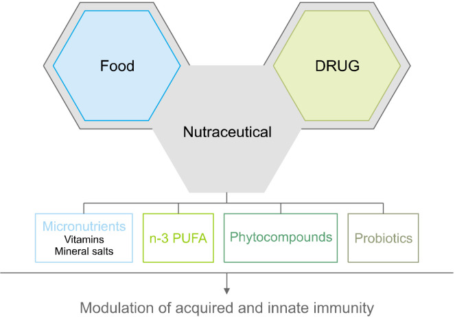 Nutraceuticals as Modulators of Immune Function: A Review of Potential Therapeutic Effects.