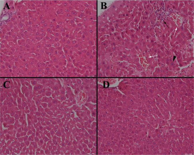 Protective effects of resveratrol against fumonisin B1-induced liver toxicity in mice.