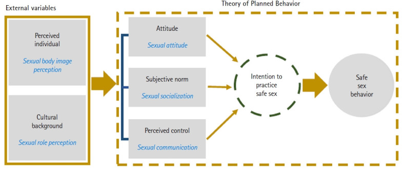 Factors affecting the safe sexual behaviors of Korean young adults by gender: a structural equation model.