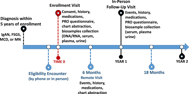 CureGN-Diabetes Study: Rationale, Design, and Methods of a Prospective Observational Study of Glomerular Disease Patients with Diabetes.