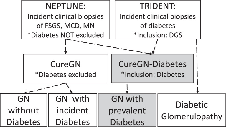 CureGN-Diabetes Study: Rationale, Design, and Methods of a Prospective Observational Study of Glomerular Disease Patients with Diabetes.