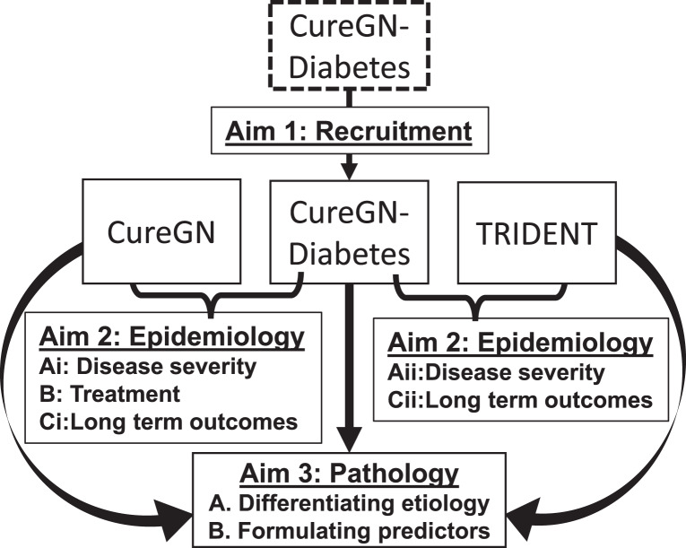 CureGN-Diabetes Study: Rationale, Design, and Methods of a Prospective Observational Study of Glomerular Disease Patients with Diabetes.