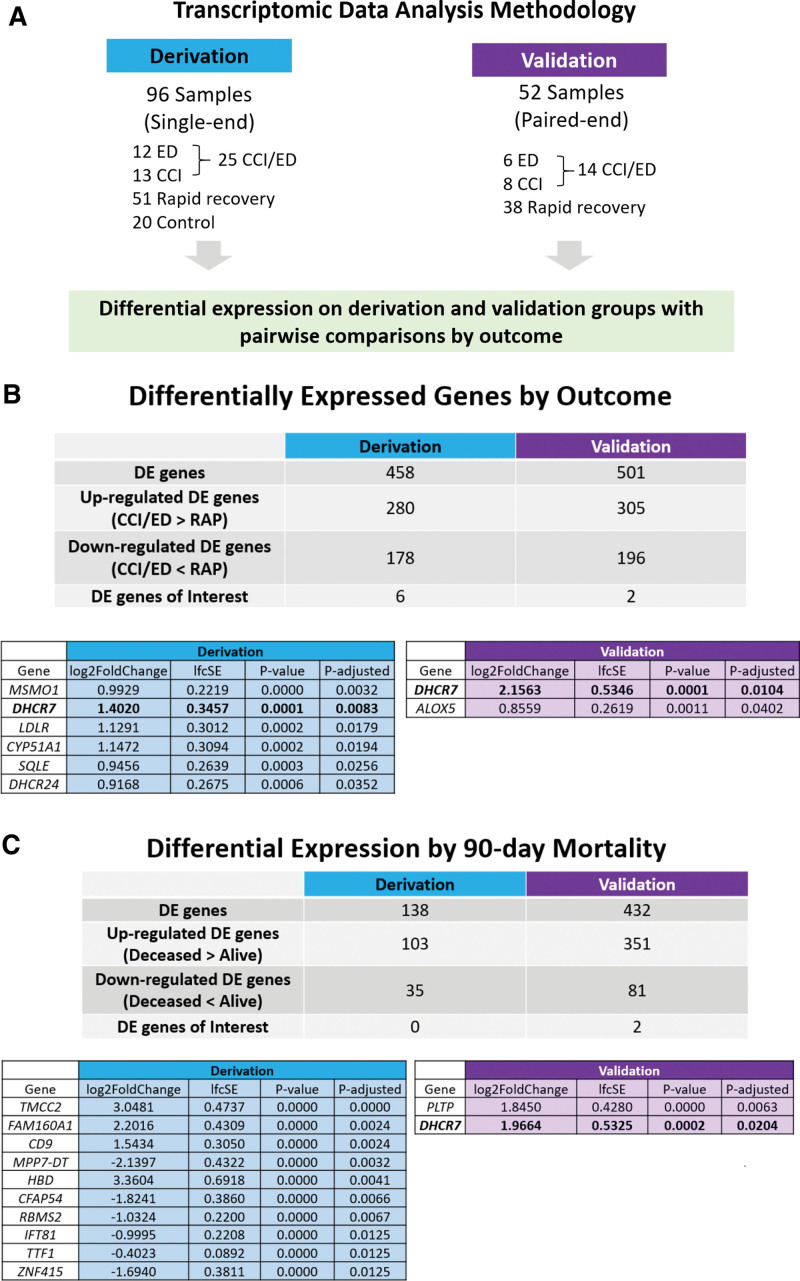 <i>DHCR7</i> Expression Predicts Poor Outcomes and Mortality From Sepsis.