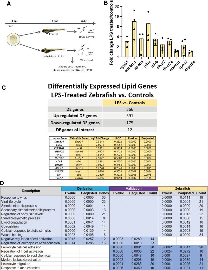 <i>DHCR7</i> Expression Predicts Poor Outcomes and Mortality From Sepsis.