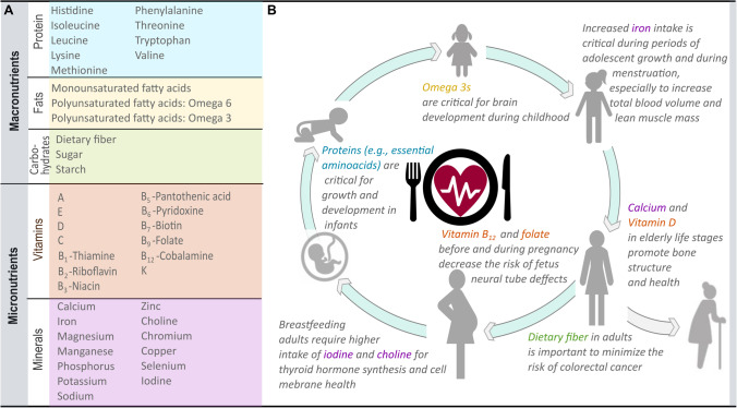 A Decision Framework for Selecting Critically Important Nutrients from Aquatic Foods.