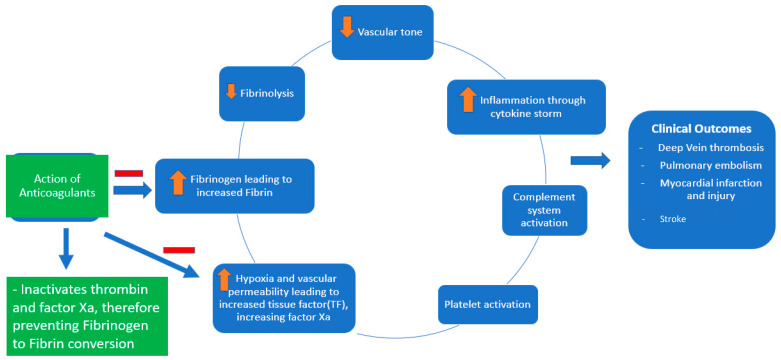 Role of Therapeutic Anticoagulation in COVID-19: The Current Situation.